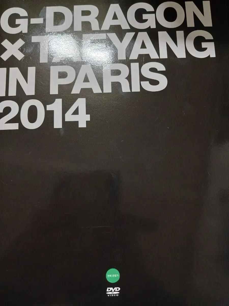 지드래곤&태양 in Paris 2014